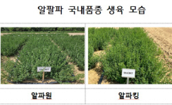 전량수입 건초사료 