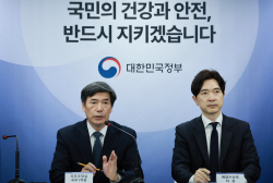 정부, 