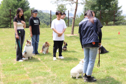 LG유플러스, 반려견 훈련소 ‘포동스쿨 용인캠퍼스’ 개소