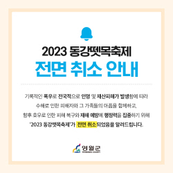 영월군, 동강뗏목축제 취소