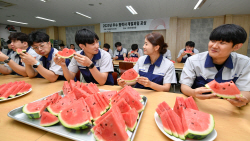 현대모비스, 우수 협력사 250곳에 수박 7000통 선물