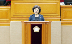 김경숙 안양시의원 "안양천 환경오염 몸살…주범 주차장"