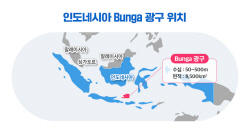 포스코인터, 