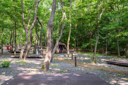 ‘충남 산림자원연구소 이전’ 생태도시 1급 보령 최적지 급부상