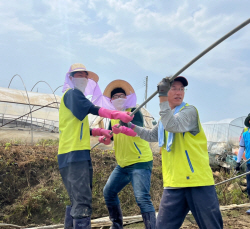 농협금융, 집중호우 피해농가 일손돕기 나서