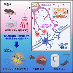 카이스트, 아동시기 학대로 인한 정신질환 발병 원인 규명
