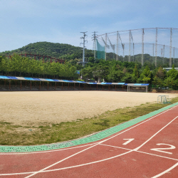 용인특례시, 지역 내 학교 운동장에 친환경 인조 잔디 조성 지원