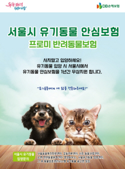 DB손보, 서울시와 