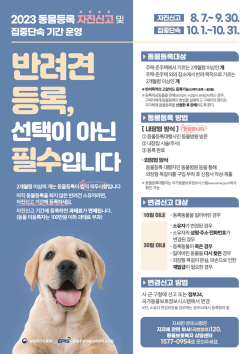 양평군 반려견 등록 선택 아닌 필수!…자진신고 운영