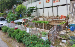 용인시, ‘쓰레기 몸살’ 국·공유지에 공영주차장 조성