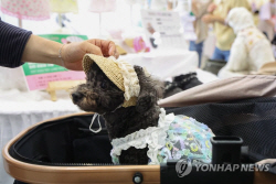 2027년 반려동물 시장규모 15조원으로 확대…펫푸드 수출은 5억달러