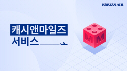 대한항공 "항공권 30% 마일리지로 결제 가능"