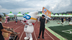 둔내고랭지토마토축제에 