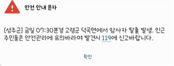 [속보] 경상북도 고령군 암사자 탈출, 포획 시도 중