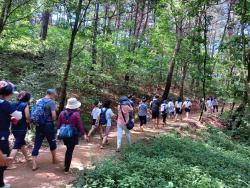 제1회 원주 맨발걷기 축제, 운곡솔바람숲길서 열려