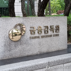 금융감독원 고객만족도 첫 하락