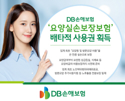 DB손보, 