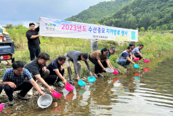 정선군, 향토어종 쏘가리 치어 방류
