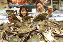 롯데마트, 살 꽉 찬 햇꽃게 900원대 판매