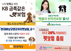 새 먹거리 ‘펫시장’ 향하는 보험사들…판 못키우는 이유는