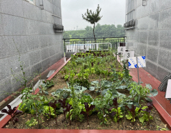 인천도시공사, 생활밀착형 