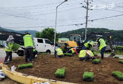 양주시 가을꽃 파종 완료…‘꽃다운 양주길’ 조성