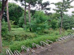 용인시, 상갈역 주변  철도부지 정원으로 조성