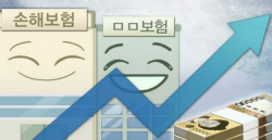 보험사 운용자산 이익 일제히 뛰었는데…생보사 못 웃는 이유는