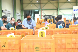 청송군, ‘청송사과’ 본격 출하 앞두고 공판장 사전점검
