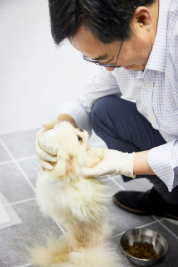 김동연 "반려동물 입양문화 정착시킬 때"