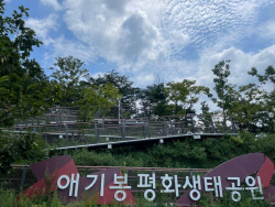 김포시 애기봉평화생태공원 연계관광 