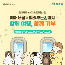 에어서울 