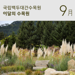 국립백두대간수목원, ‘이달의 수목원 9월’ 공개