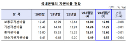 위험가중자산 확대에도...국내은행, BIS 자본비율 소폭 상승