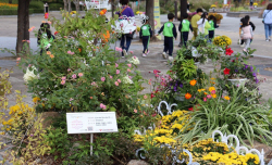 고양국제꽃박람회,가을꽃축제 마을정원 참가공모…10일까지