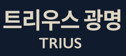 대우건설 컨소시엄, 