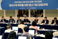 중소기업 "킬러규제 혁파 24건 국회서 해결해야"