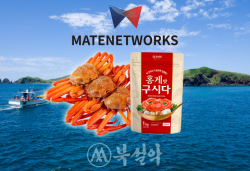 메이트네트웍스, 