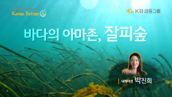 "해양식물이 탄소 흡수"…KB금융, 