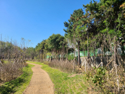 경기도, 내년에 ‘기후대응 도시숲’  9.4ha 조성