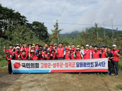 정희용 의원, 고령군·성주군·칠곡군 국민의힘 당원들과 일손돕기 ‘봉사활동’ 펼쳐