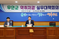 무안군, 고질적 