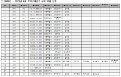 주택 매수 상위 30명 중 24명, 수도권 집 싹쓸이