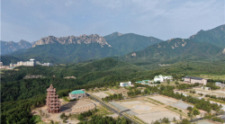 강원세계산림엑스포 개최 기간 