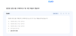 베일 벗은 AI 검색서비스 ‘큐‘ 써보니…네이버 구원투수 될까