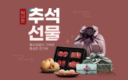 "티몬에서 추석선물 티나게 할인 받으세요"