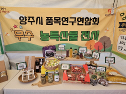 "양주시 천일홍 축제 가면 우수 농축산물 장도 본다"