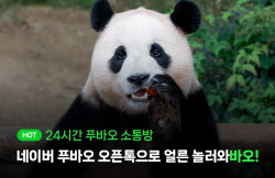 네이버 오픈톡, 푸바오 사육사와 톡담회 개최