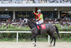 렛츠런파크 부산경남, 삼관마 승승장구 ‘즐거운여정’