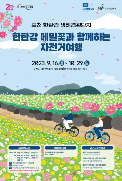 포천 한탄강과 메밀꽃 그리고 자전거여행